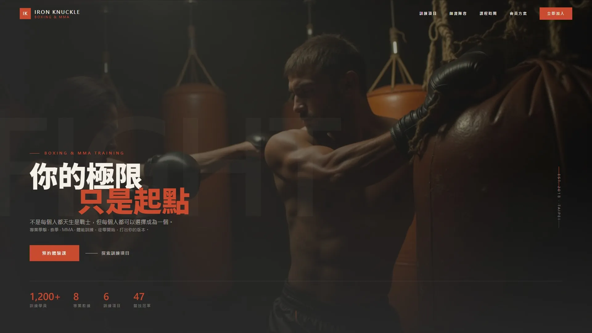 拳擊格鬥訓練 #1